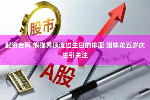 配资台网 熊猫界顶流过生日的排面 姐妹花五岁庆生引关注